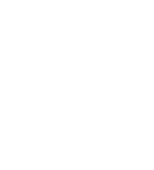 The 22 Mission